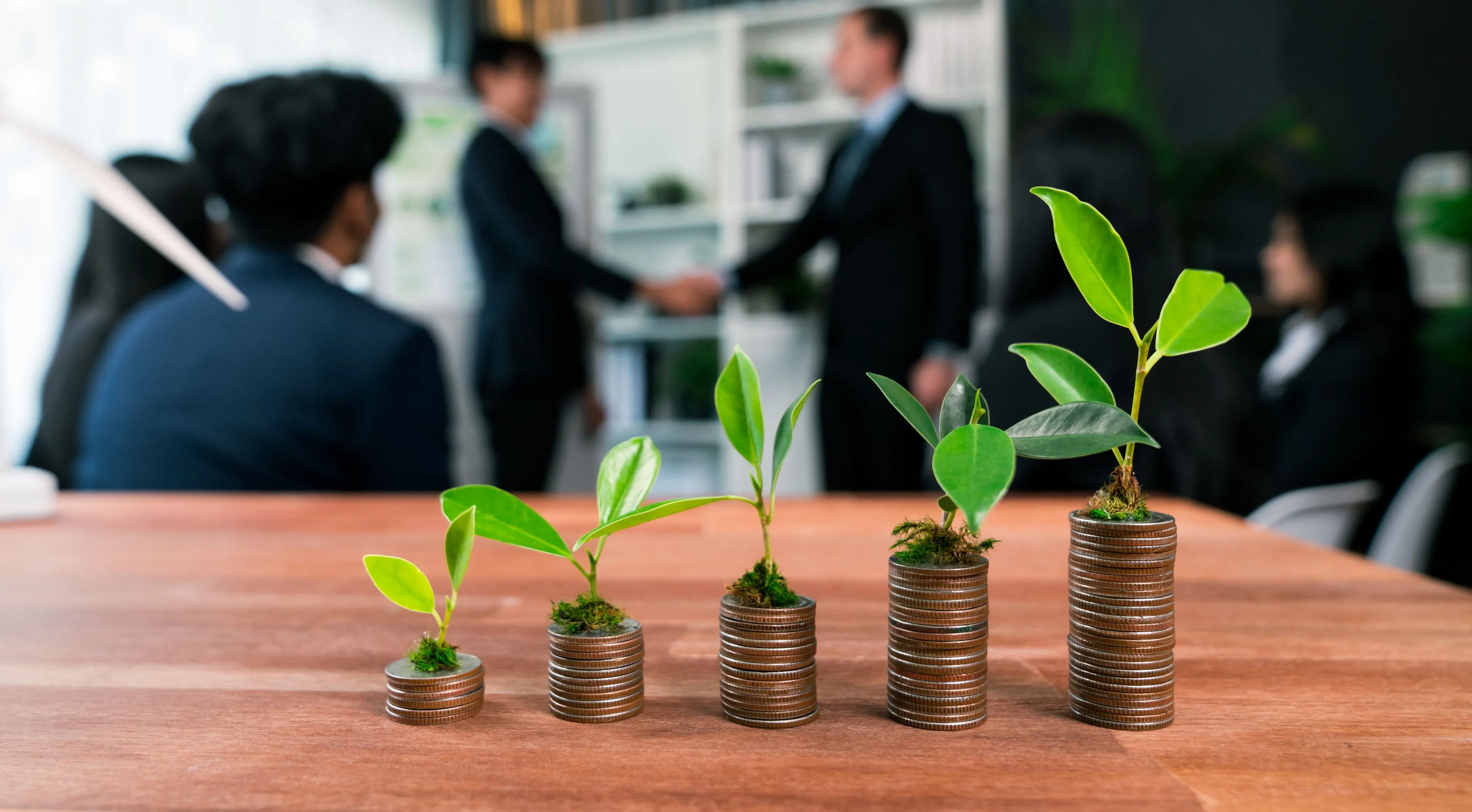 Financial Advisor