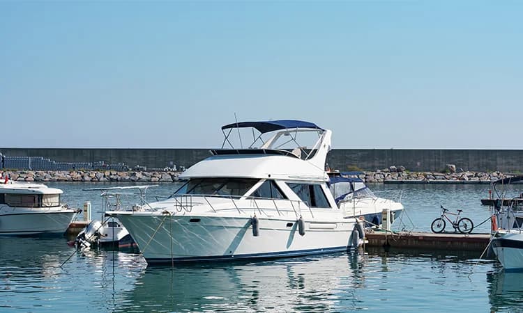 Wreck Removal & Salvage
