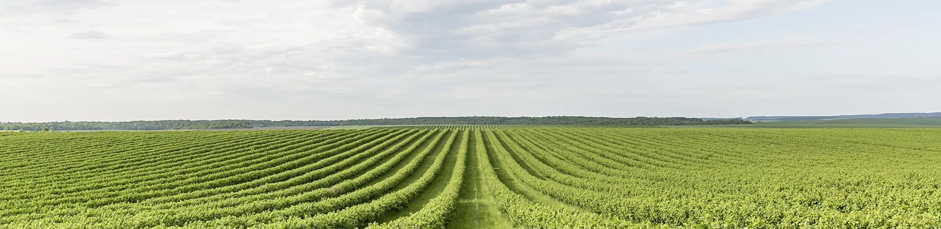 agriculture-section-image