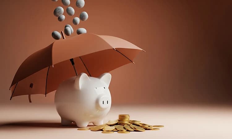 Debt and Loan Settlement