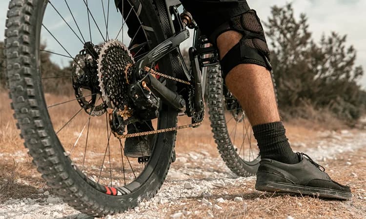 Bicycle Insurance